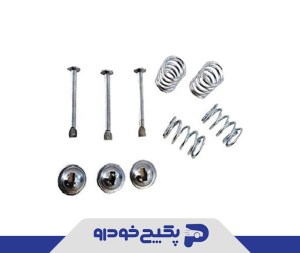 مجموعه میخ پولک و فنر لنت عقب ( دوازده تیکه ) پژو 405 1107140 اماتا صمد