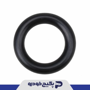 اورینگ سوزن انژکتور ضد بنزین پژو 405 141139 شمیران پارت اورینگ سوزن انژکتور ضد بنزین پژو 405 141139 شمیران پارت