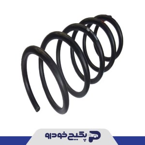 فنر لول جلو پژو 206 - 207 - رانا - 206101 جی ای اس پی