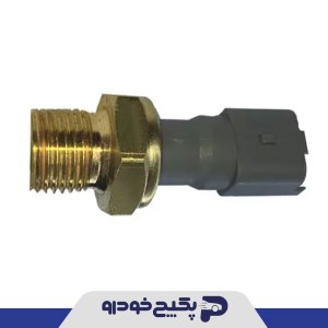 فشنگی روغن پژو 206 - 207 - رانا 206403 جی ای اس پی