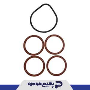 واشر منیفولد هوا (دست کامل ) پژو 206 تیپ 2 و 3 229623 جی ای اس پی