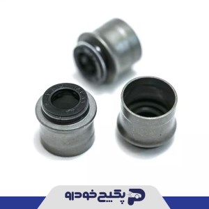 کاسه نمد ساق سوپاپ ( دست کامل ) پژو 206 - 207 - رانا 259617 جی ای اس پی