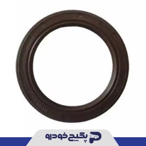 کاسه نمد میل سوپاپ ( وایتون ) پژو 206 -207 - رانا 259626 جی ای اس پی