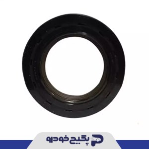 کاسه نمد جلو میل لنگ ( وایتون ) پژو 206 - 207 - رانا 259627 جی ای اس پی