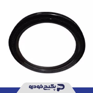 کاسه نمد عقب میل لنگ ( وایتون ) پژو 206 - 207 - رانا 259628 جی ای اس پی