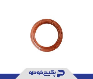 کاسه نمد میل سوپاپ (وایتون فنردار) پژو 206 و 207 تیپ 5 و 405 (SLX) و پارس (TU5) و رانا 259636 جی اس اس پی