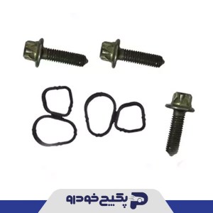 کیت تعمیراتی اویل ماژول ( شامل 5 پیچ،2واشر عینکی ) سمند ملی 339507 جی ای اس پی