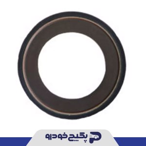 کاسه نمد پلوس کوچک ( ACM ) پژو 405 و پارس و سمند و سمند ملی و دنا و سورن و پژو 206 - 409624 جی ای اس پی