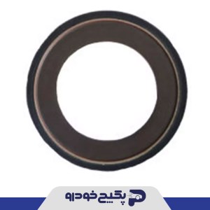 کاسه نمد بزرگ پلوس ( ACM ) پژو 405 و پارس و سمند و سمند ملی و دنا و سورن و پژو 206 409625 جی ای اس پی