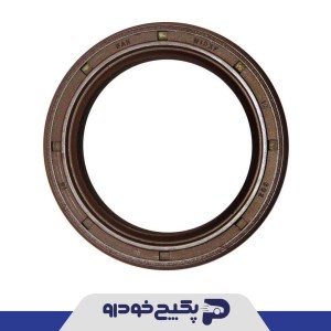 کاسه نمد میل سوپاپ ( وایتون ) پژو 405 و پارس و سمند 409626 جی ای اس پی