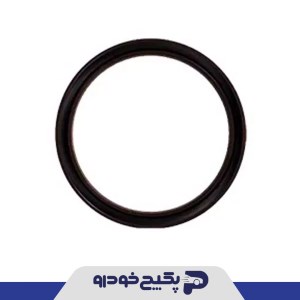 کاسه نمد عقب میل لنگ باریک ( وایتون ) پژو 405 و پارس و سمند 409628 جی ای اس پی