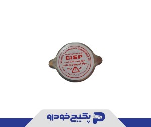 درب رادیاتور نیسان 591601 جی ای اس پی