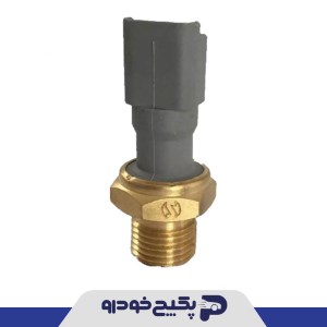 مهره ( فشنگی ) روغن پژو 206 880277 چکاد