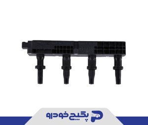 کوئل رانا 880944 چکاد