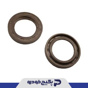 ابگیر بیرونی شیشه درب عقب چپ ( OWB ) دنا 345303 جی ای اس پی